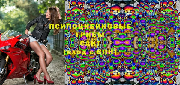 бошки Горно-Алтайск