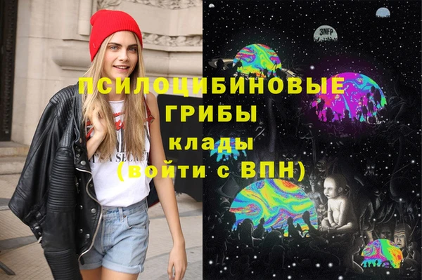 бошки Горно-Алтайск