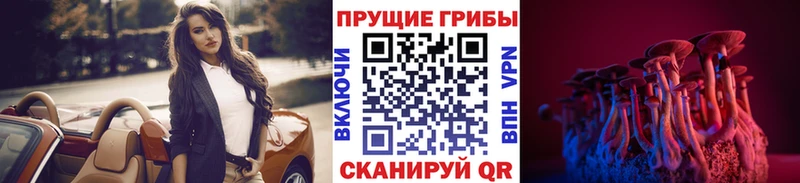 Галлюциногенные грибы GOLDEN TEACHER  ссылка на мегу сайт  Зеленогорск 